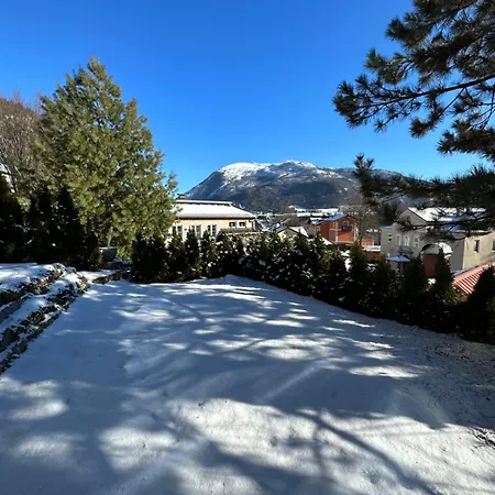 The View - Modern Panorama Residence Bad Ischl Exterior photo